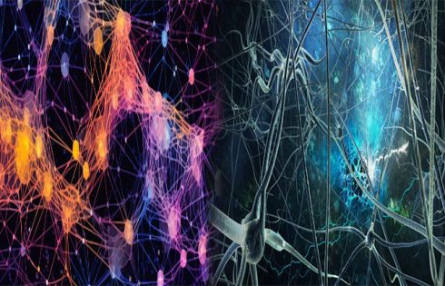 Deep Learning Techniques: Convolutional Neural Networks (CNNs)