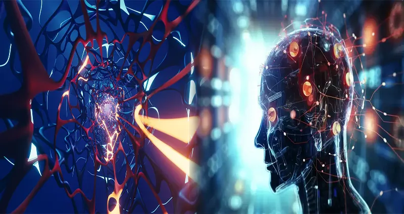 Harnessing the Power of Neuromorphic Computing: Real-Time Sensory Data Processing